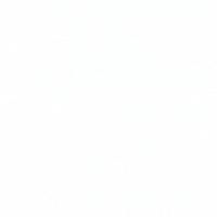 DTF1 verarbeitet…