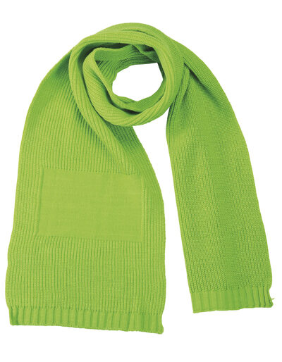 Promotion Scarf