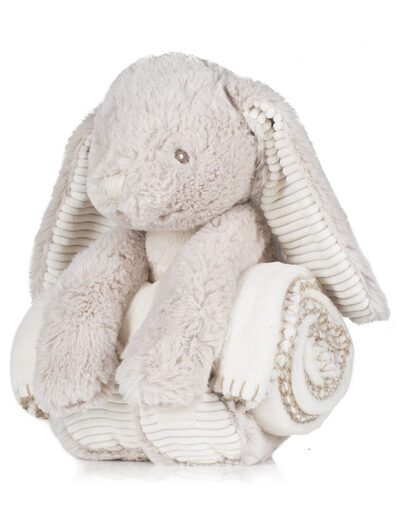 Rabbit And Blanket