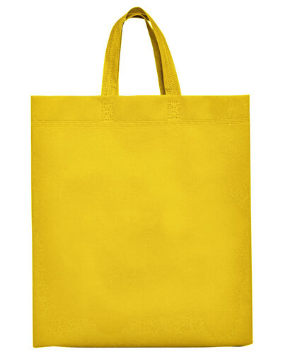 Lake Bag